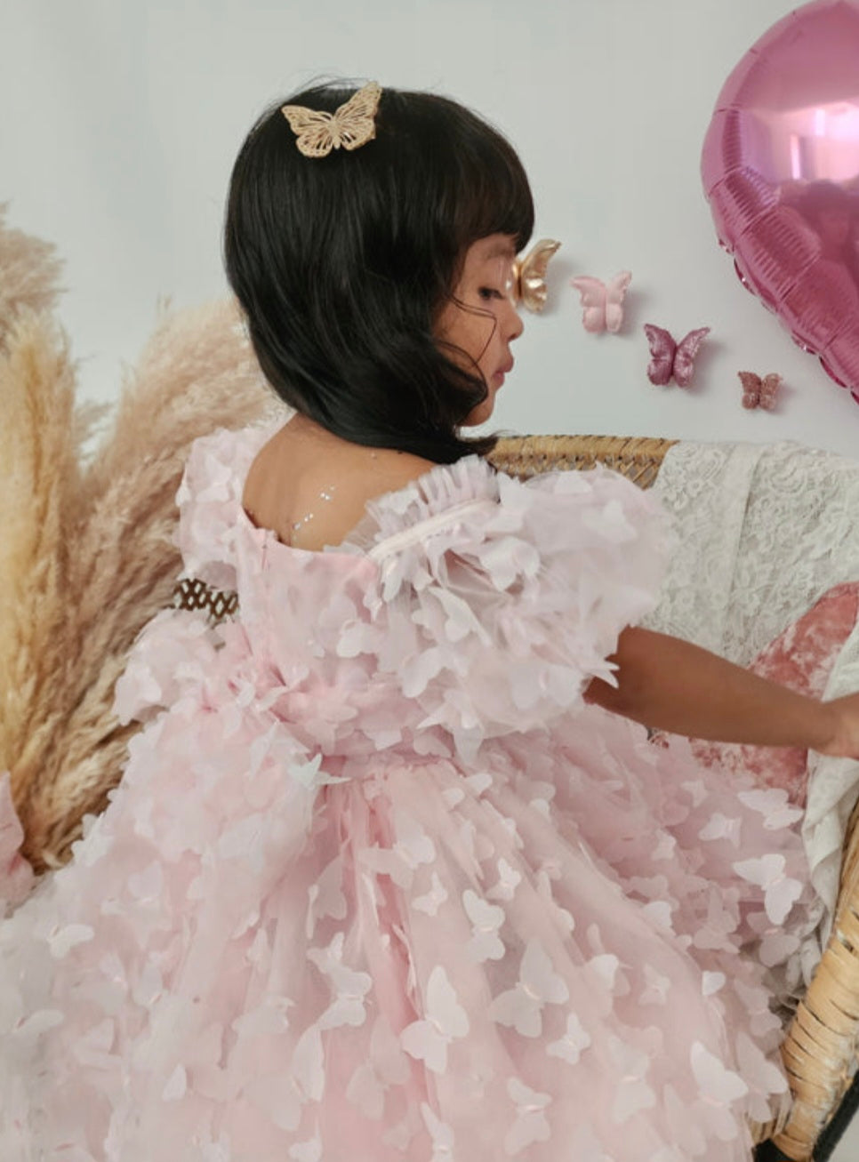 3D Butterflies Princess Dress